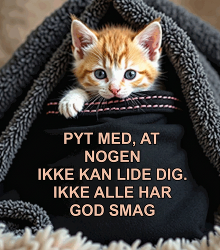Grafik