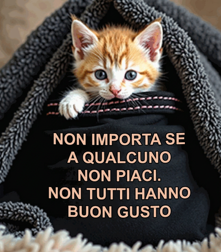 Grafica