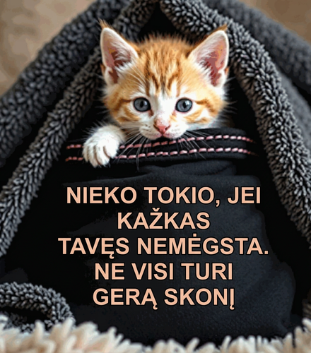 Grafika